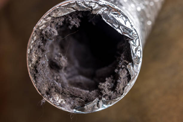 Best Affordable Duct Cleaning Services  in Shaw, MS